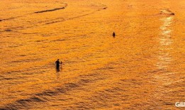 秋日天空在线观看,云端漫步，尽享金秋美景