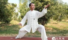 马老师爆料太极拳视频全集,太极拳视频全集深度解析