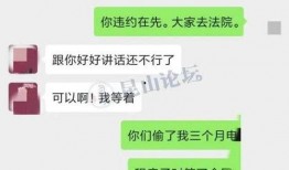 二房东最新爆料,揭秘租房市场的暗流涌动